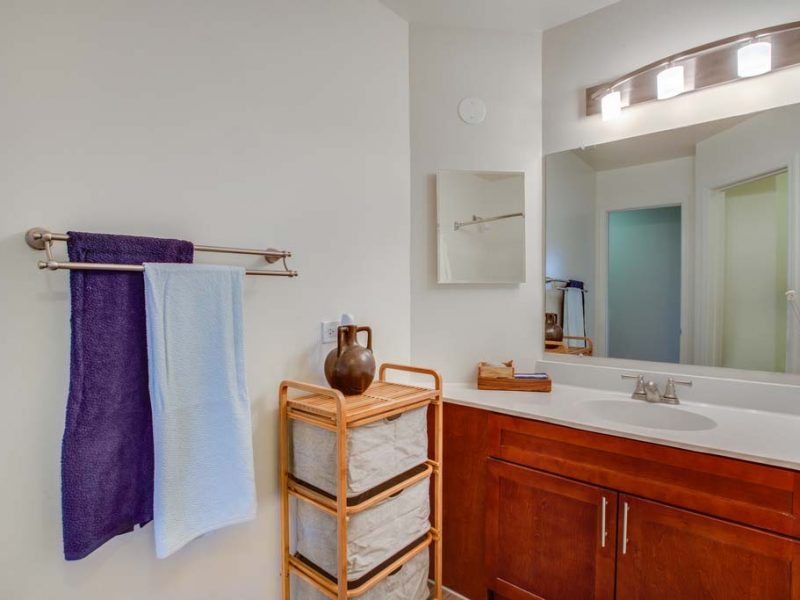 This image shows a newly renovated bathroom with extra storage available.