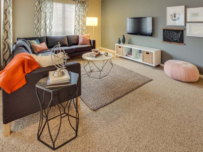 This image shows the premium feature in the living room area with modern floor mats and modern interior design that was ideal for a neat atmosphere.