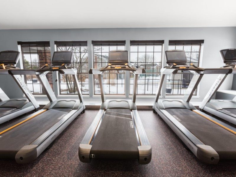 This image shows an expansive view of the fitness gym equipment featuring the standard treadmill, elliptical, and bike. These bikes allow the user to work at their level of resistance and pace while pushing and pulling their arms for an effective full-body workout.