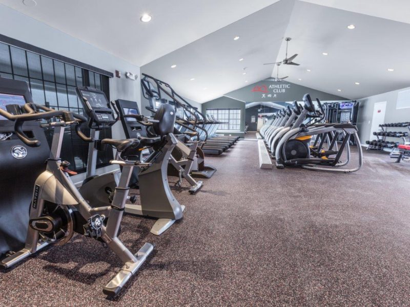 This image shows an expansive view of the fitness gym equipment for strength and chest workout.