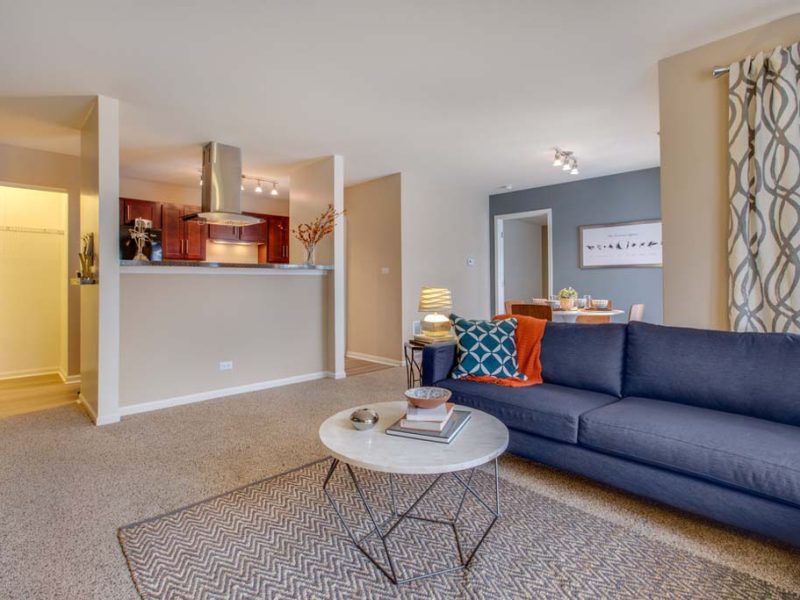 This image shows the premium feature in the living room area with modern floor mats and modern interior design that was ideal for a neat atmosphere.